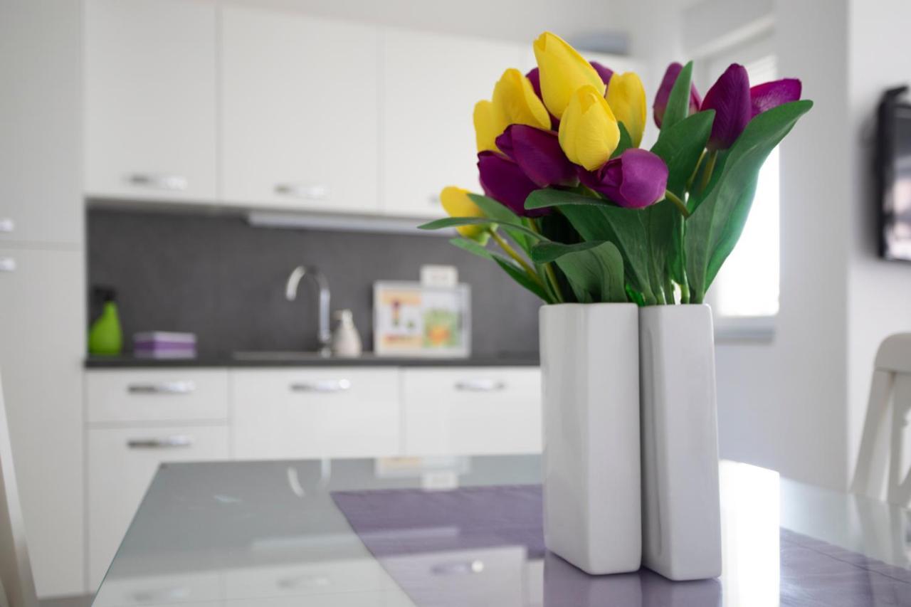 Apartmán Atena Zaton Nin Exteriér fotografie