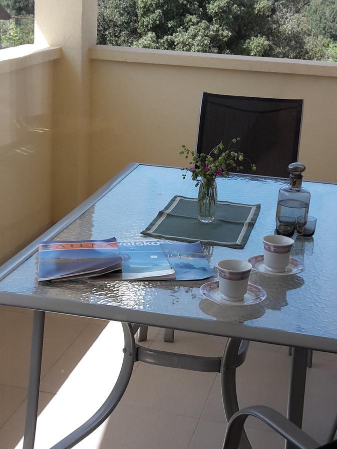 Apartmán Atena Zaton Nin Exteriér fotografie
